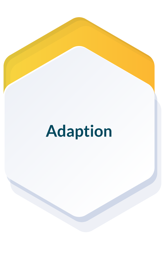 adaption