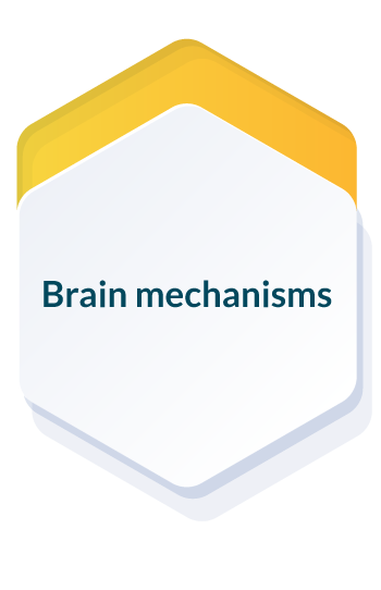 brain-mechanisms